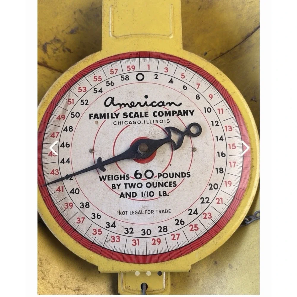 Vintage American Family Scale Co. Chicago Hanging Basket Scale 60lb Yellow K1
